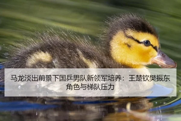ma-long-dan-chu-qian-jing-xia-guo-ping-nan-dui-xin-ling-jun-pei-yang-wang-chu-qin-fan-zhen-dong-jue-se-yu-ti-dui-ya-li-2-666.jpg